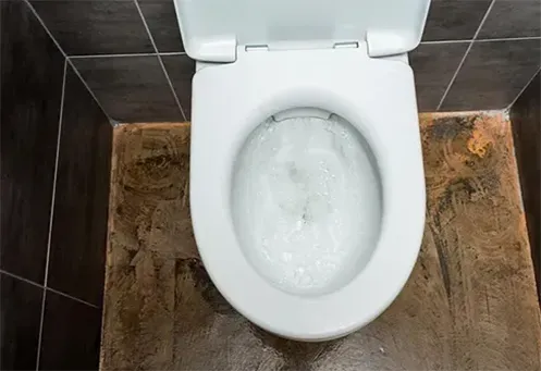 Desentupimento de Vaso Sanitário em Várzea Paulista